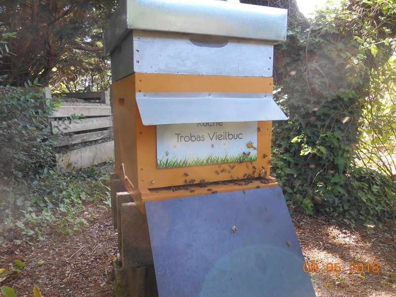 La ruche Trobas Vieilbuc